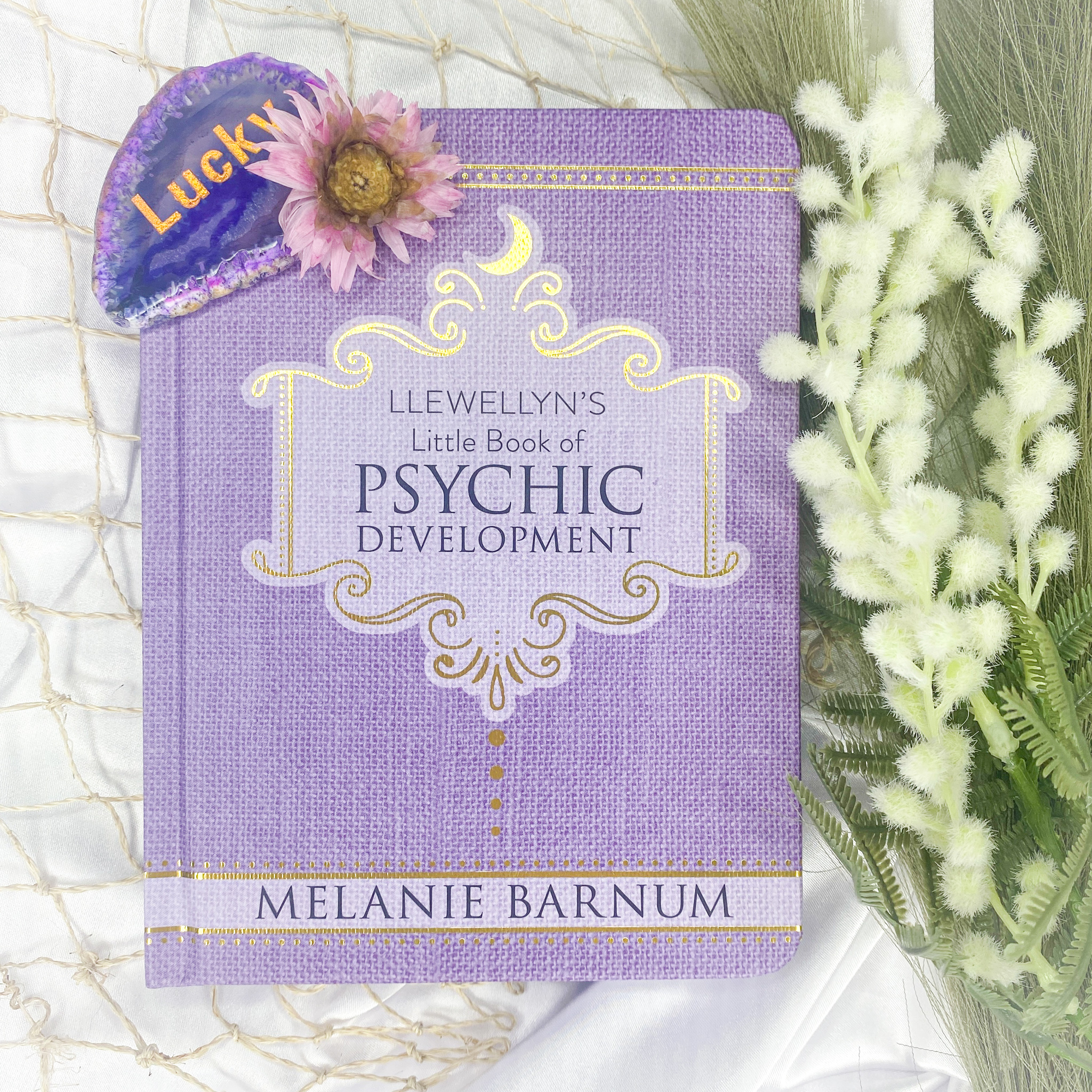 Little Book of Psychic Development by Llewellyn's