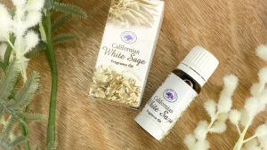White Sage Fragrant Oil 10ml