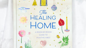 The Healing Home by Amy Leigh Mercree