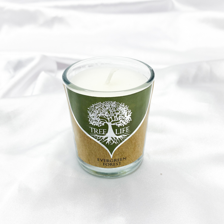 Tree of Live Evergreen Forest Votive Candle