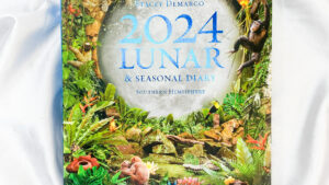 2024 Lunar and Seasonal Diary