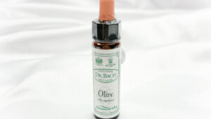 Dr Bach Flower Essence Olive 10ml