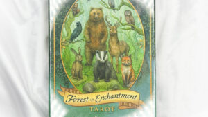 Forest Of Enchantment Tarot Cards